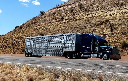 TRAFICO DE MERCANCÍAS POR CARRETERA (Comercio y Marketing) (-) (60 horas)