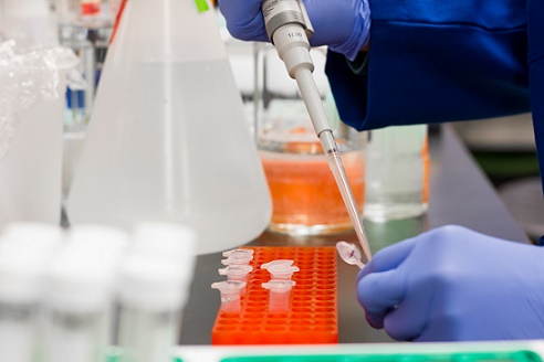 PLANIFICACIÓN Y ACCIÓN PREVENTIVA EN EL LABORATORIO (**) (50 horas)