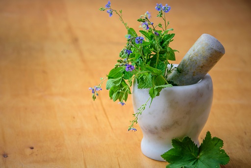 PLANTAS MEDICINALES (**) (200 horas)