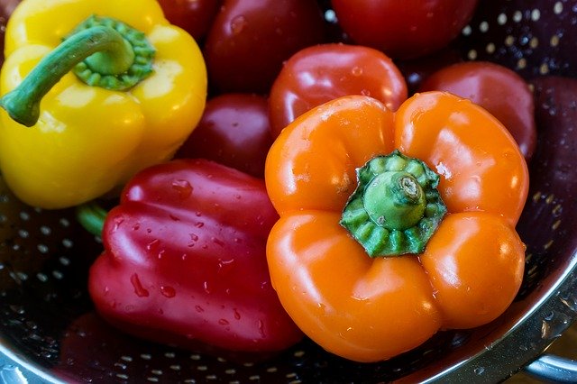 PUESTA AL DÍA EN ALIMENTACIÓN Y NUTRICIÓN PARA TÉCNICOS EN CUIDADOS AUXILIARES DE ENFERMERÍA (**) (125 horas)